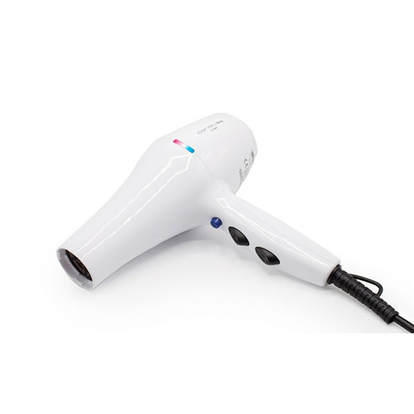 2000 W- CORIOLISS SECADOR FLOW+ DRYER